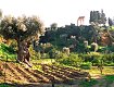 La collina di Girgenti, dal sito http://viaggiassotravel.altervista.org