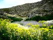 Il territorio di Monte Conca, dal sito www.foto-sicilia.it