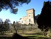 Panoramica del borgo dal campo di ulivi circostante