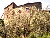 Dal sito www.vacationrentals.tuscany.it