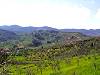 Le colline sud-occidentali che fanno da teatro al borgo. Sullo sfondo la catena del Montalbano.