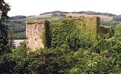 Innis Chonnell castle