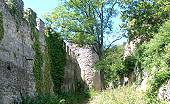 Pfeffingen ruine