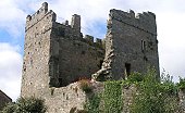 Portaferry Castle