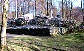 Ruine Wulp